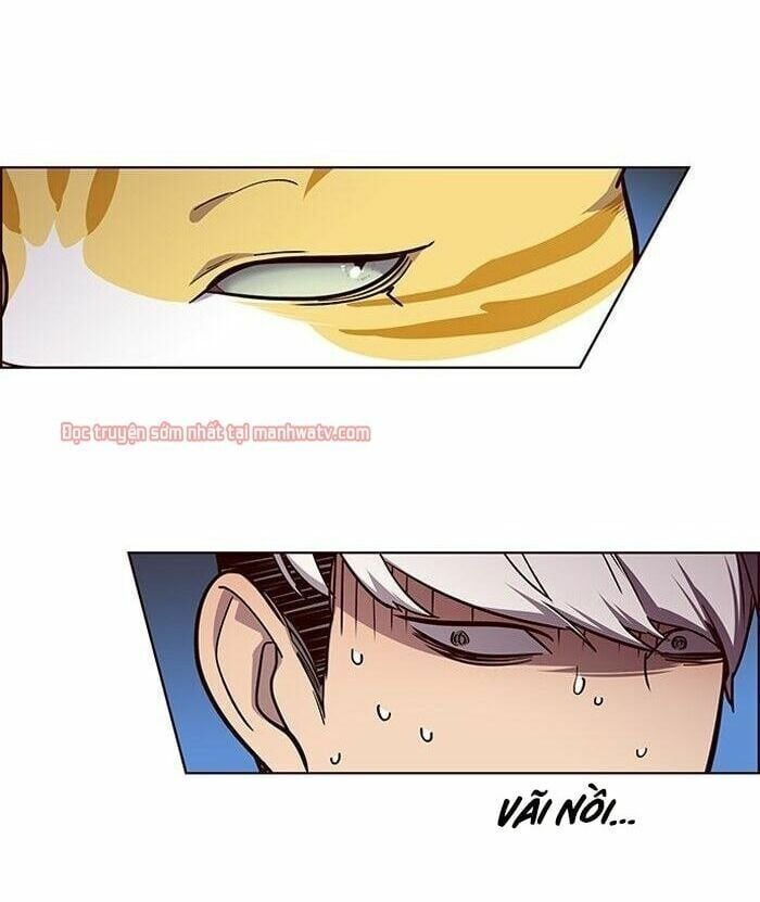 đọc truyện Hóa Thân Thành Mèo Chương 49 ảnh 81 tại Thiên Thai Truyện