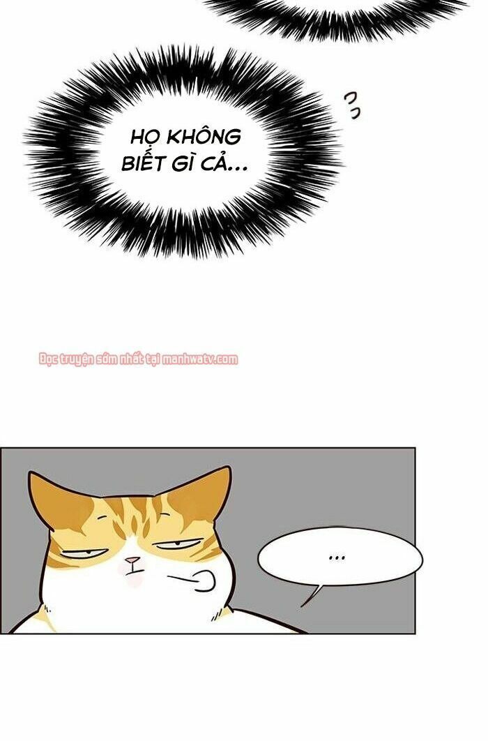 đọc truyện Hóa Thân Thành Mèo Chương 49 ảnh 91 tại Thiên Thai Truyện