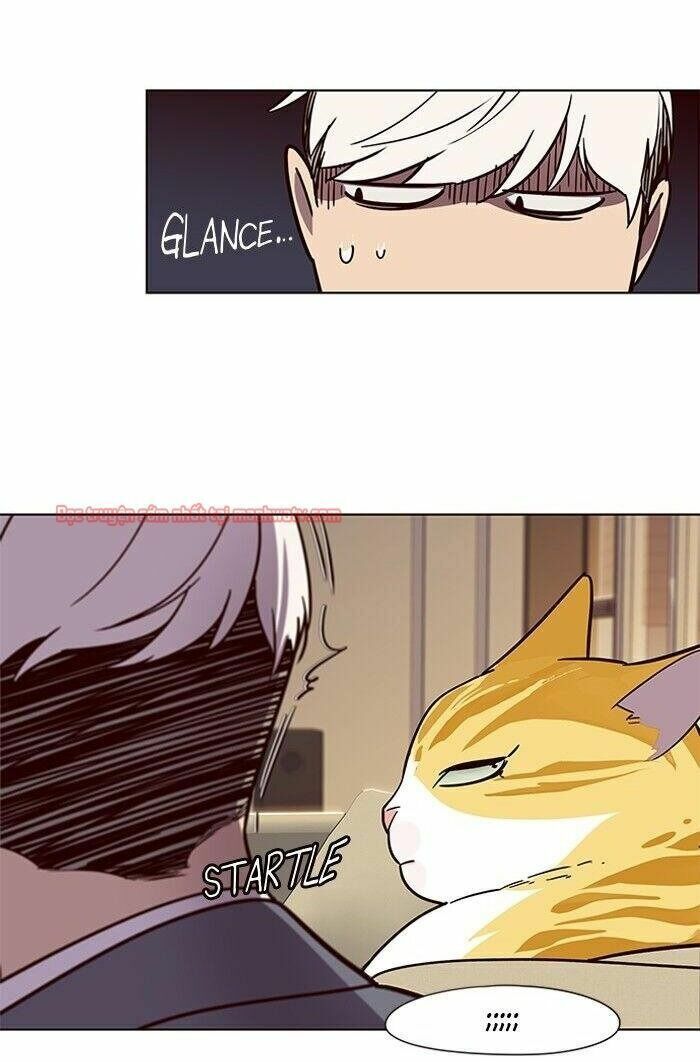 đọc truyện Hóa Thân Thành Mèo Chương 49 ảnh 92 tại Thiên Thai Truyện