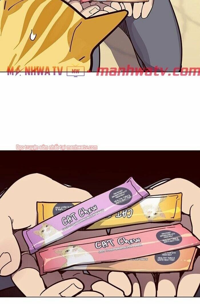 đọc truyện Hóa Thân Thành Mèo Chương 49 ảnh 94 tại Thiên Thai Truyện