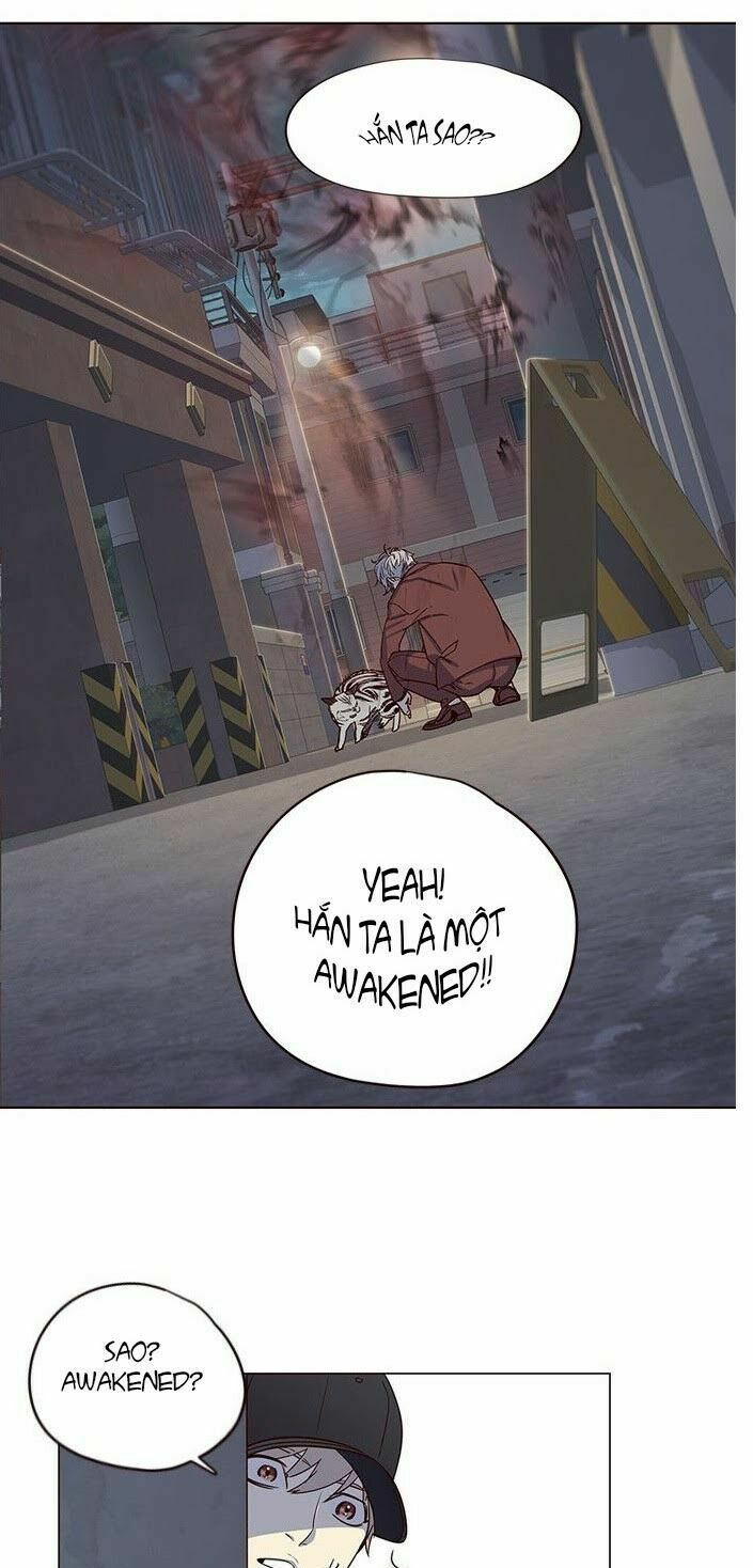 đọc truyện Hóa Thân Thành Mèo Chương 5 ảnh 22 tại Thiên Thai Truyện