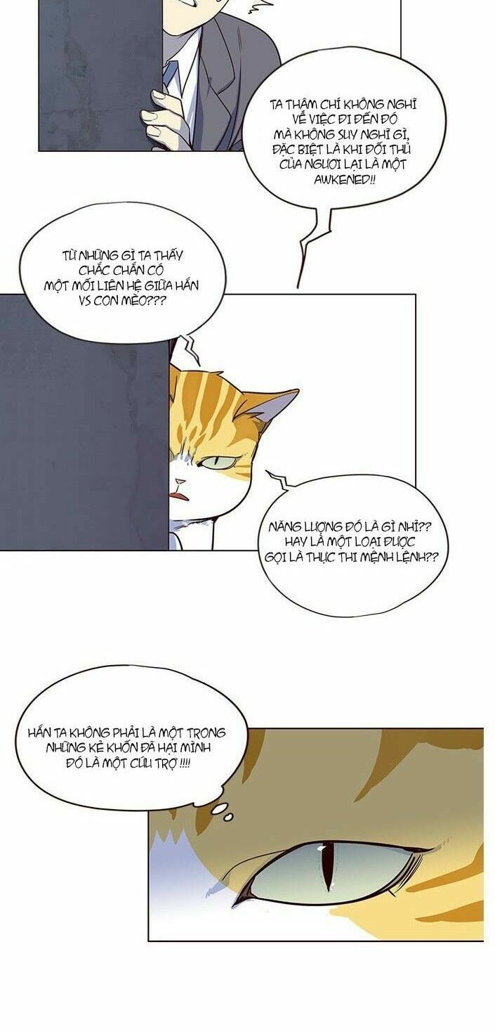 đọc truyện Hóa Thân Thành Mèo Chương 5 ảnh 23 tại Thiên Thai Truyện