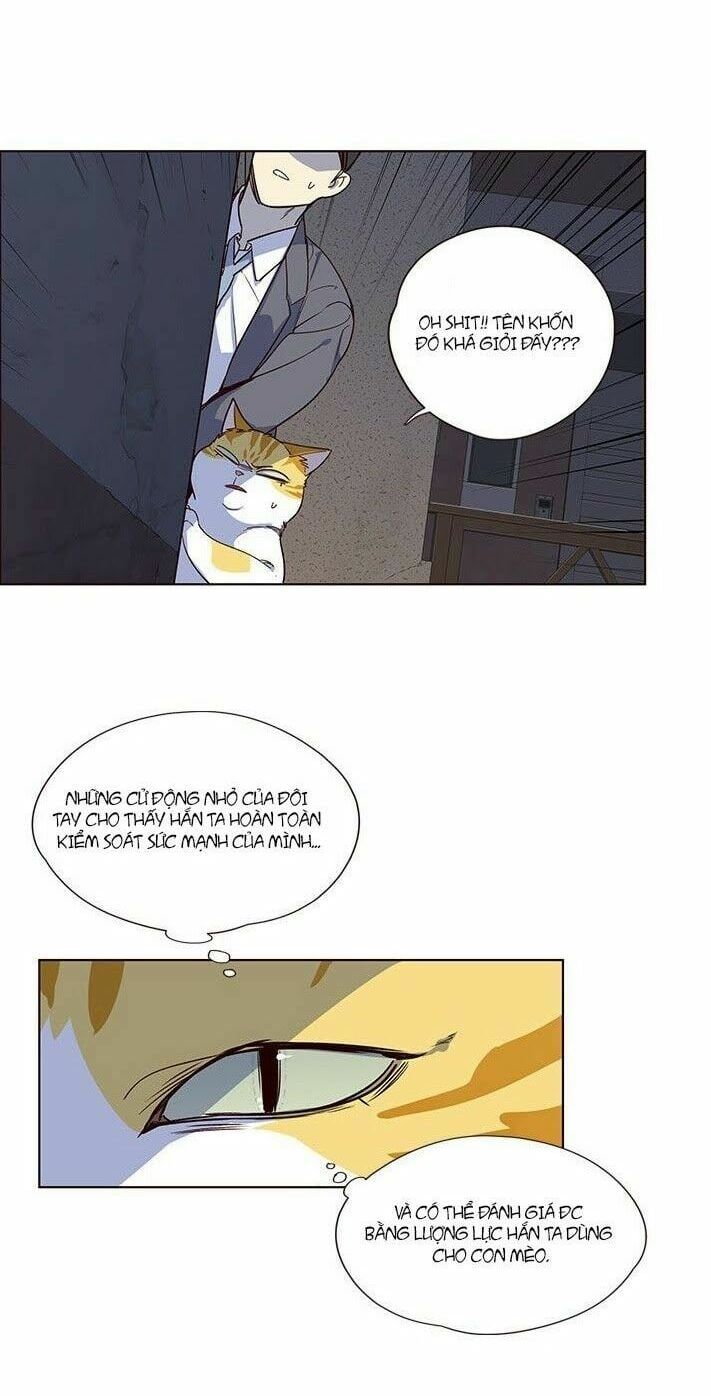 đọc truyện Hóa Thân Thành Mèo Chương 5 ảnh 31 tại Thiên Thai Truyện