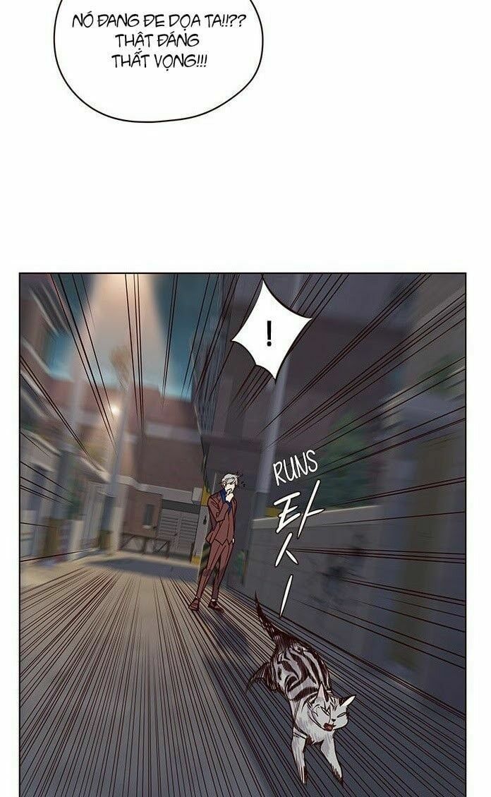 đọc truyện Hóa Thân Thành Mèo Chương 5 ảnh 41 tại Thiên Thai Truyện