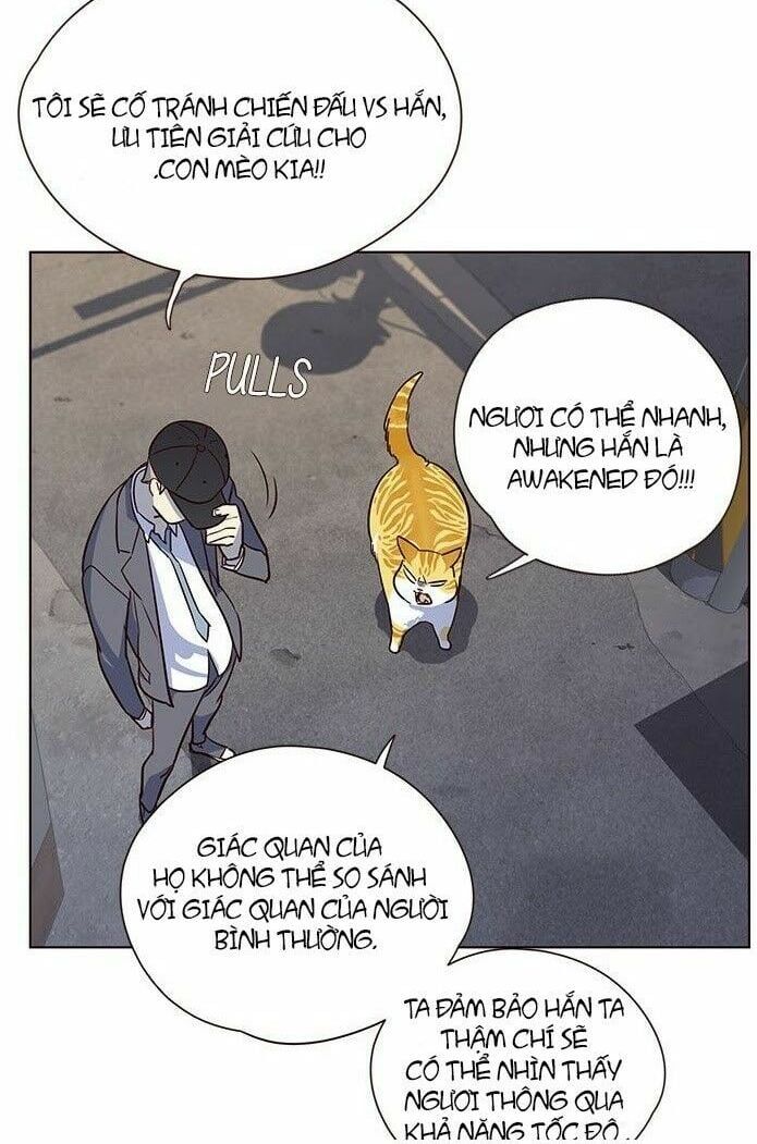 đọc truyện Hóa Thân Thành Mèo Chương 5 ảnh 47 tại Thiên Thai Truyện