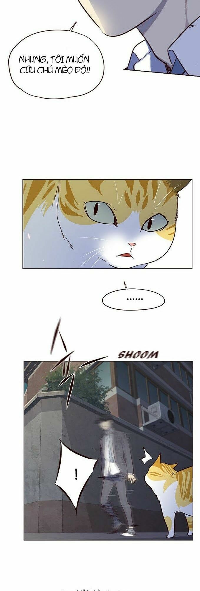 đọc truyện Hóa Thân Thành Mèo Chương 5 ảnh 49 tại Thiên Thai Truyện