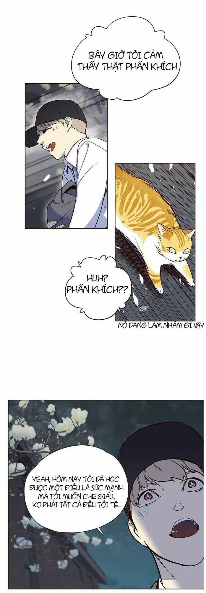 đọc truyện Hóa Thân Thành Mèo Chương 5 ảnh 65 tại Thiên Thai Truyện