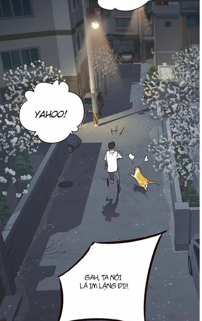 đọc truyện Hóa Thân Thành Mèo Chương 5 ảnh 67 tại Thiên Thai Truyện