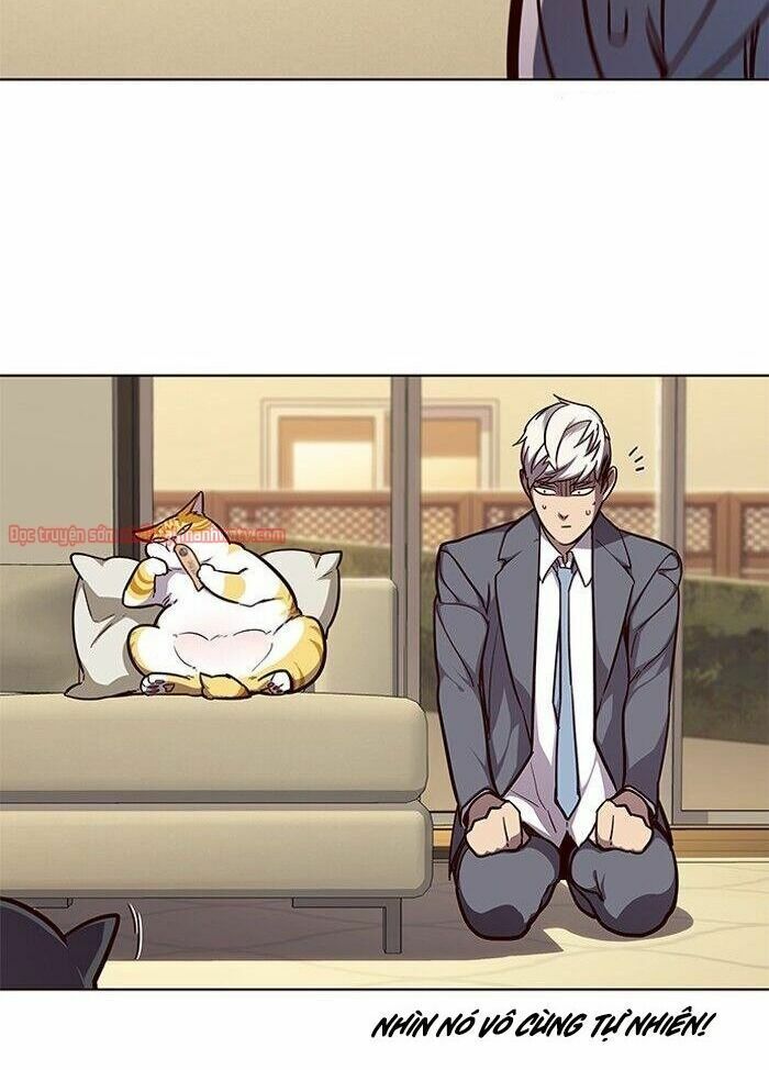 đọc truyện Hóa Thân Thành Mèo Chương 50 ảnh 13 tại Thiên Thai Truyện