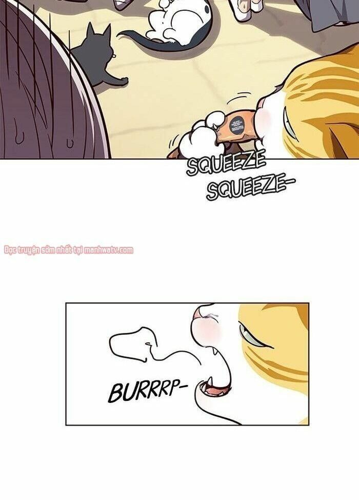 đọc truyện Hóa Thân Thành Mèo Chương 50 ảnh 16 tại Thiên Thai Truyện