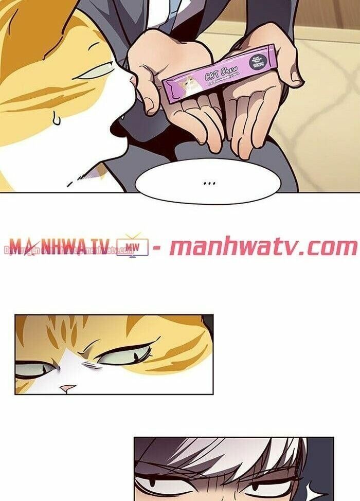 đọc truyện Hóa Thân Thành Mèo Chương 50 ảnh 18 tại Thiên Thai Truyện