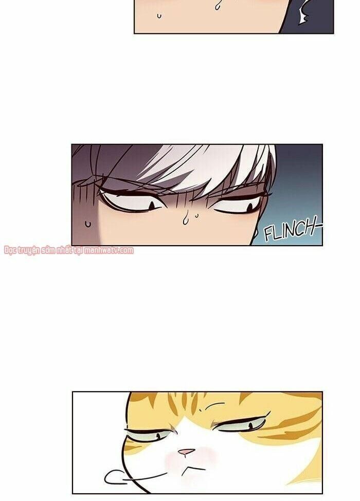 đọc truyện Hóa Thân Thành Mèo Chương 50 ảnh 19 tại Thiên Thai Truyện