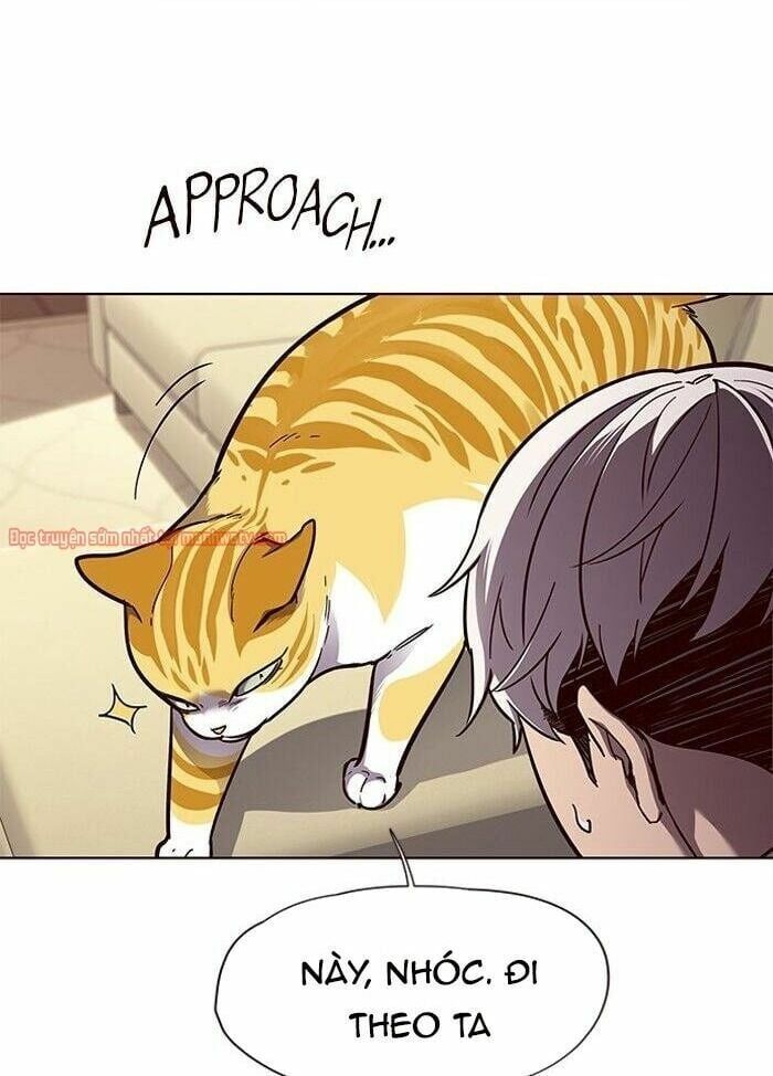 đọc truyện Hóa Thân Thành Mèo Chương 50 ảnh 20 tại Thiên Thai Truyện