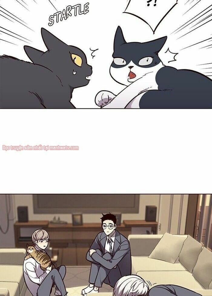 đọc truyện Hóa Thân Thành Mèo Chương 50 ảnh 22 tại Thiên Thai Truyện