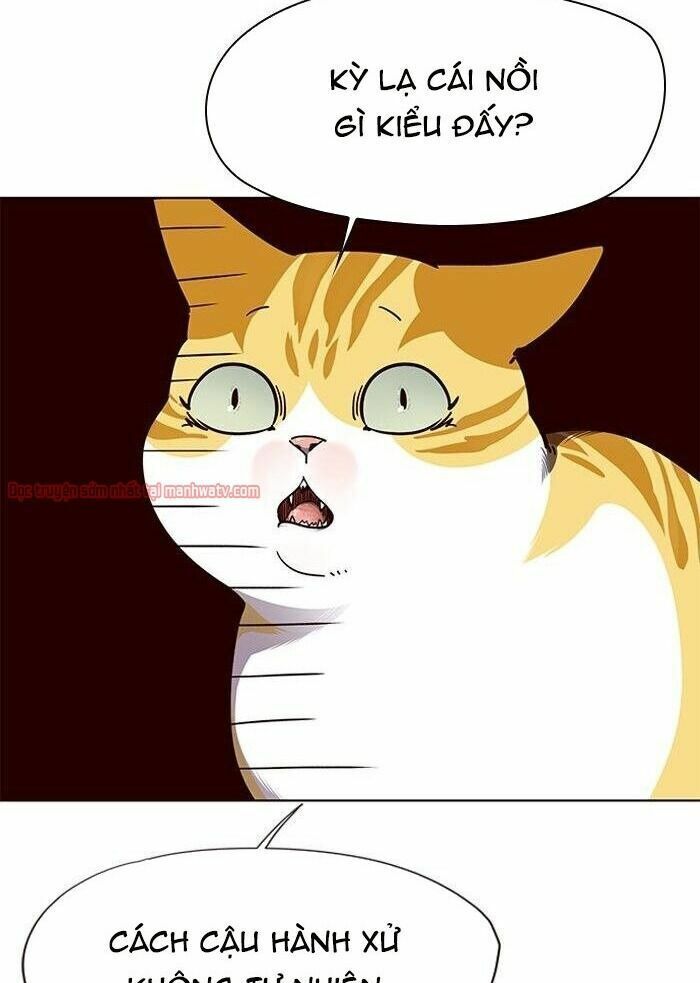 đọc truyện Hóa Thân Thành Mèo Chương 50 ảnh 32 tại Thiên Thai Truyện