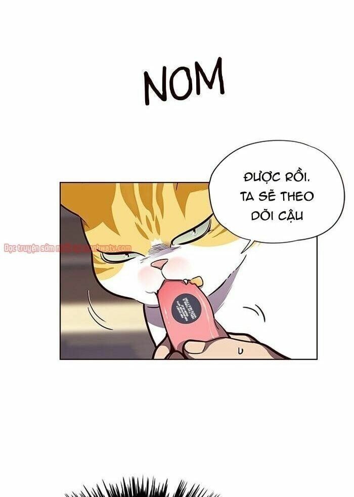 đọc truyện Hóa Thân Thành Mèo Chương 50 ảnh 41 tại Thiên Thai Truyện