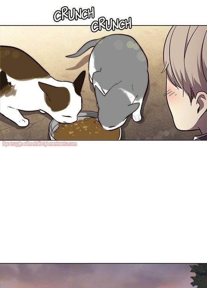 đọc truyện Hóa Thân Thành Mèo Chương 50 ảnh 53 tại Thiên Thai Truyện