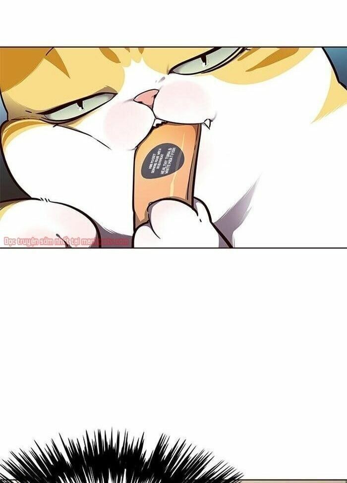 đọc truyện Hóa Thân Thành Mèo Chương 50 ảnh 11 tại Thiên Thai Truyện