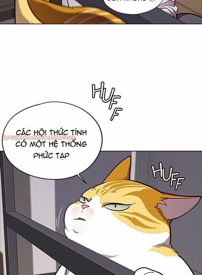 đọc truyện Hóa Thân Thành Mèo Chương 51 ảnh 16 tại Thiên Thai Truyện