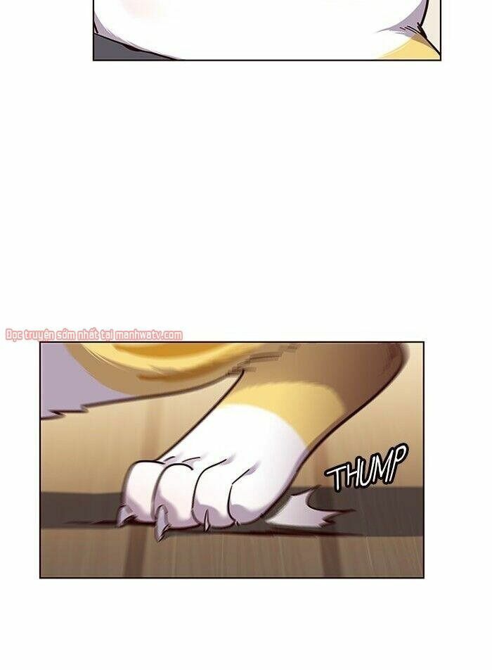 đọc truyện Hóa Thân Thành Mèo Chương 51 ảnh 23 tại Thiên Thai Truyện