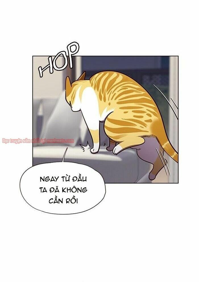 đọc truyện Hóa Thân Thành Mèo Chương 51 ảnh 32 tại Thiên Thai Truyện