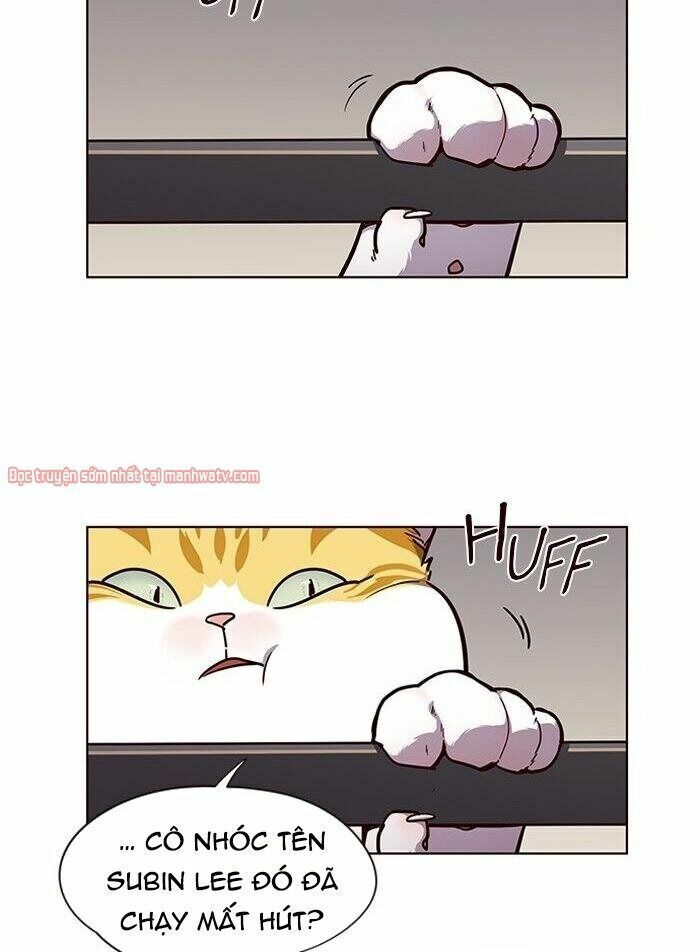 đọc truyện Hóa Thân Thành Mèo Chương 51 ảnh 6 tại Thiên Thai Truyện