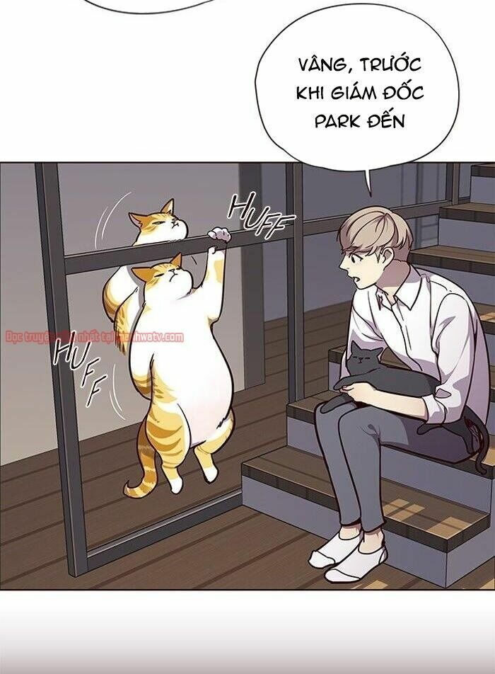 đọc truyện Hóa Thân Thành Mèo Chương 51 ảnh 7 tại Thiên Thai Truyện