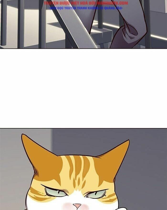 đọc truyện Hóa Thân Thành Mèo Chương 52 ảnh 39 tại Thiên Thai Truyện