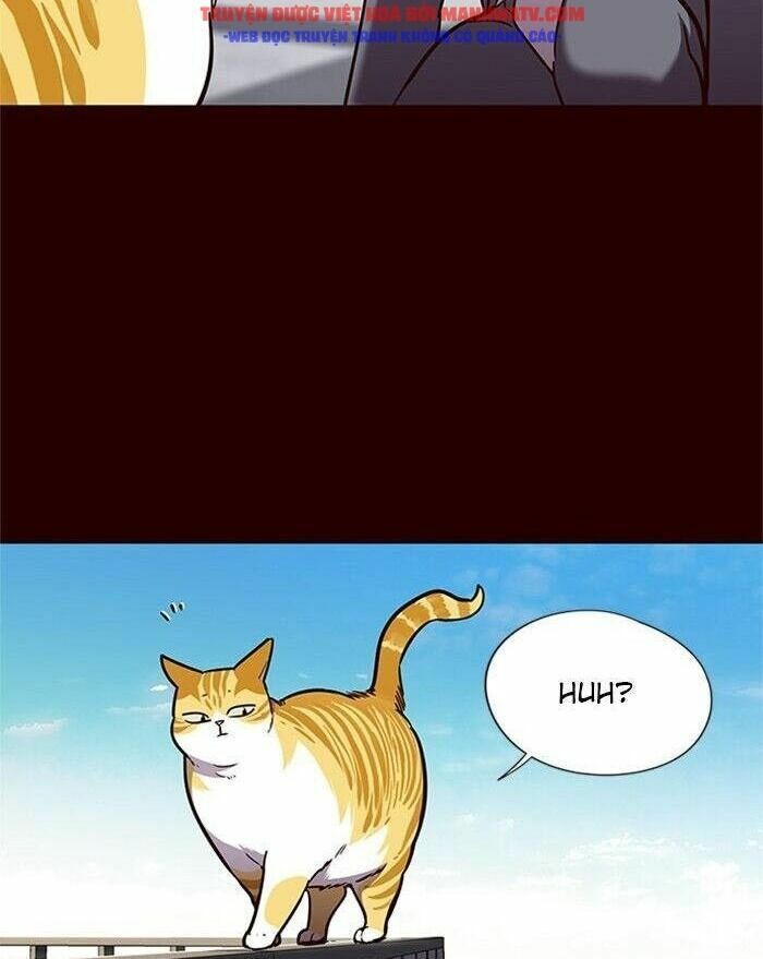 đọc truyện Hóa Thân Thành Mèo Chương 52 ảnh 47 tại Thiên Thai Truyện