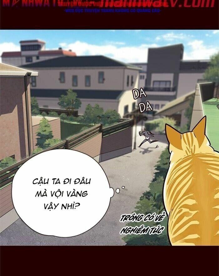 đọc truyện Hóa Thân Thành Mèo Chương 52 ảnh 49 tại Thiên Thai Truyện