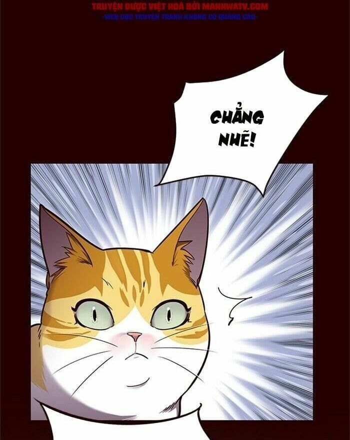 đọc truyện Hóa Thân Thành Mèo Chương 52 ảnh 50 tại Thiên Thai Truyện