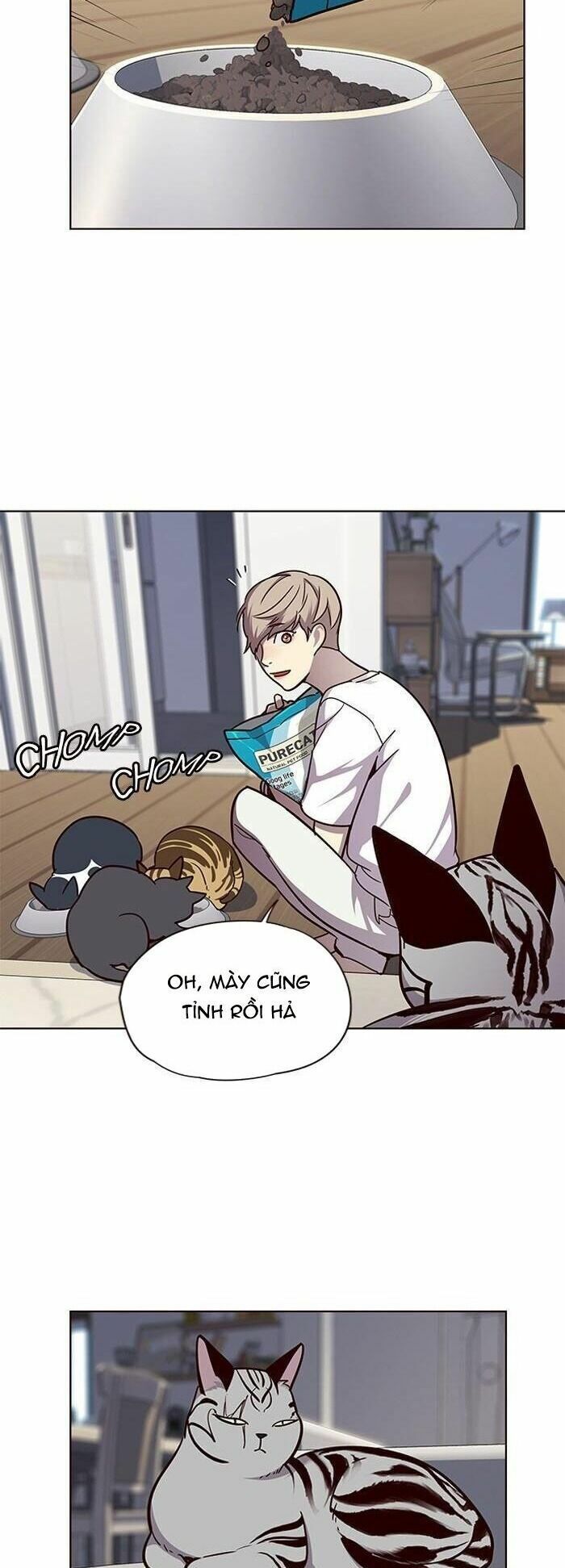 đọc truyện Hóa Thân Thành Mèo Chương 55 ảnh 12 tại Thiên Thai Truyện