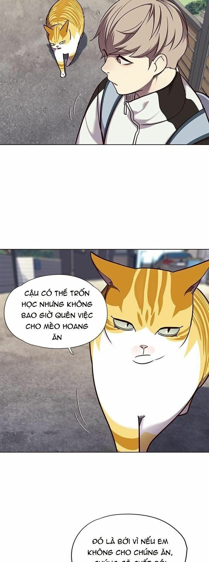 đọc truyện Hóa Thân Thành Mèo Chương 55 ảnh 18 tại Thiên Thai Truyện