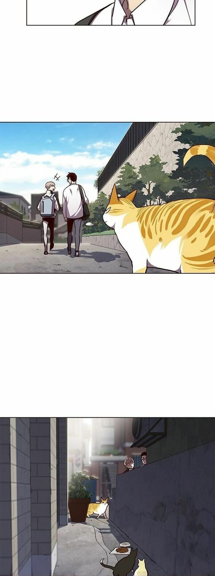 đọc truyện Hóa Thân Thành Mèo Chương 55 ảnh 24 tại Thiên Thai Truyện