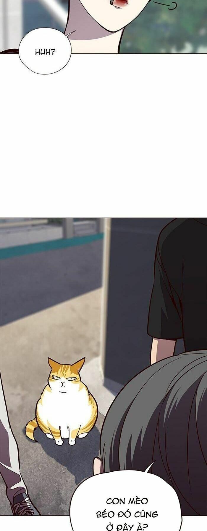 đọc truyện Hóa Thân Thành Mèo Chương 55 ảnh 43 tại Thiên Thai Truyện