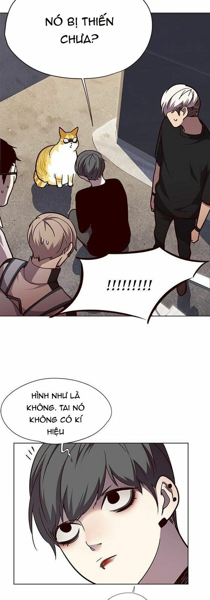 đọc truyện Hóa Thân Thành Mèo Chương 55 ảnh 47 tại Thiên Thai Truyện