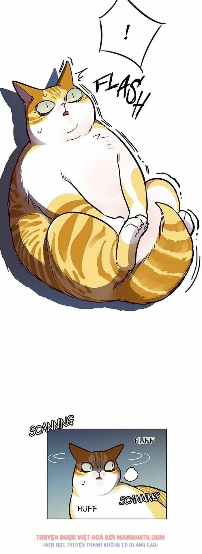 đọc truyện Hóa Thân Thành Mèo Chương 56 ảnh 13 tại Thiên Thai Truyện