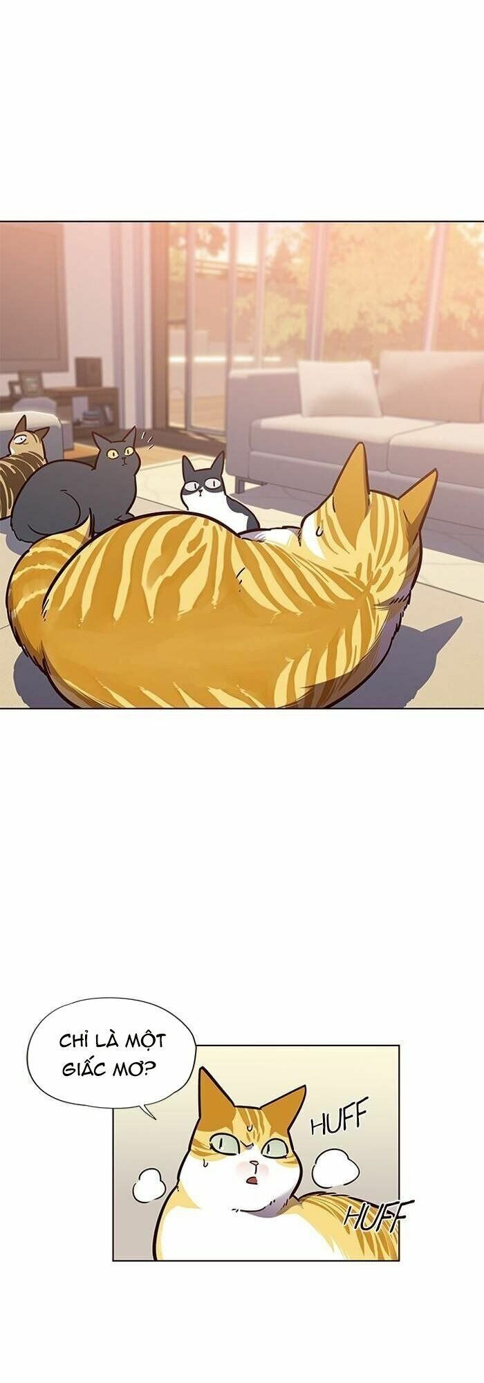 đọc truyện Hóa Thân Thành Mèo Chương 56 ảnh 14 tại Thiên Thai Truyện