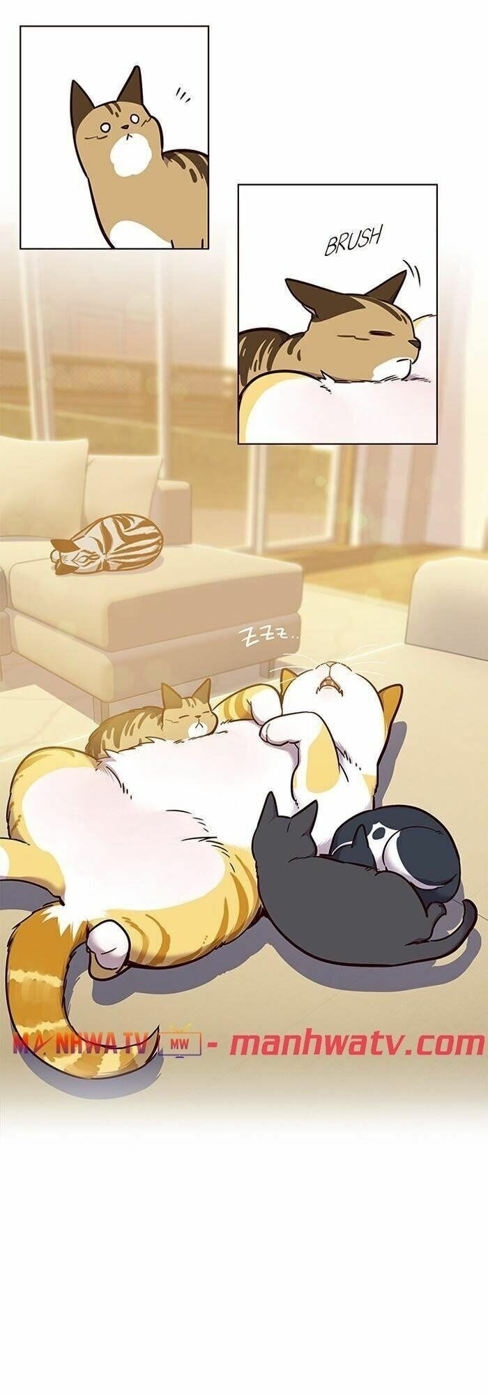 đọc truyện Hóa Thân Thành Mèo Chương 56 ảnh 17 tại Thiên Thai Truyện