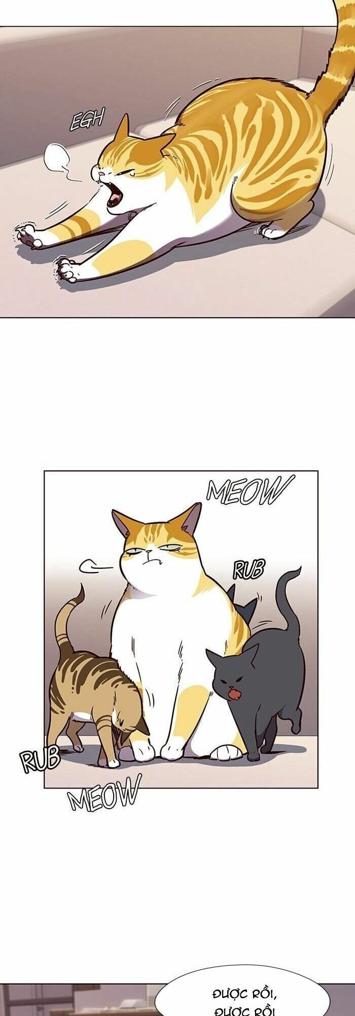 đọc truyện Hóa Thân Thành Mèo Chương 56 ảnh 38 tại Thiên Thai Truyện