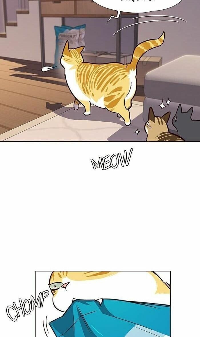 đọc truyện Hóa Thân Thành Mèo Chương 56 ảnh 39 tại Thiên Thai Truyện