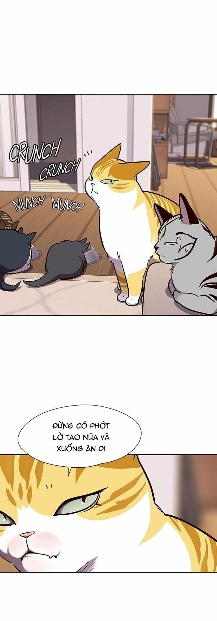 đọc truyện Hóa Thân Thành Mèo Chương 56 ảnh 41 tại Thiên Thai Truyện