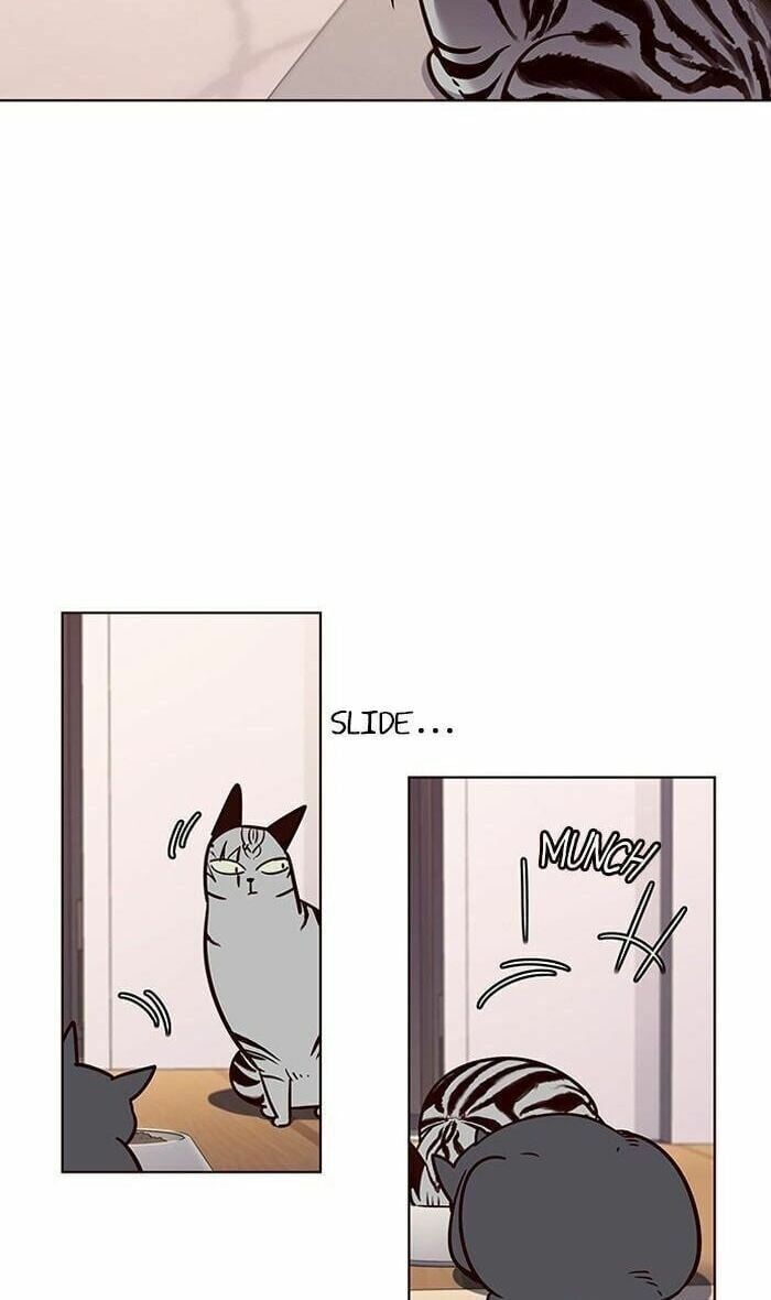 đọc truyện Hóa Thân Thành Mèo Chương 56 ảnh 43 tại Thiên Thai Truyện