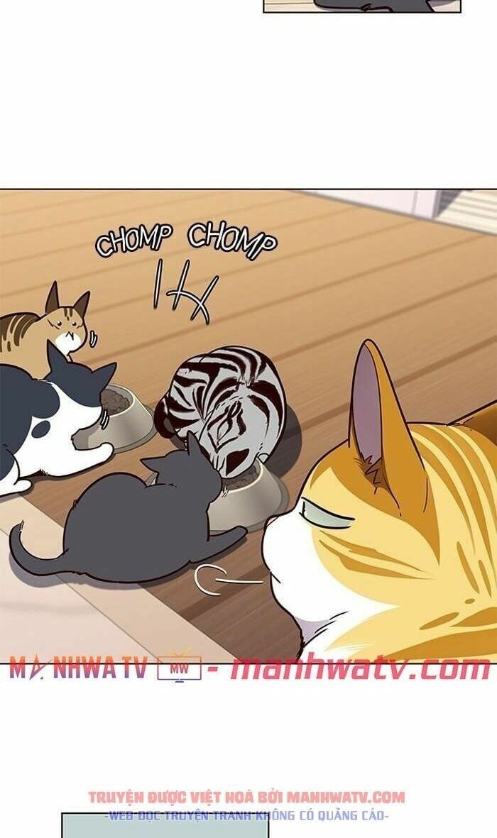 đọc truyện Hóa Thân Thành Mèo Chương 56 ảnh 44 tại Thiên Thai Truyện