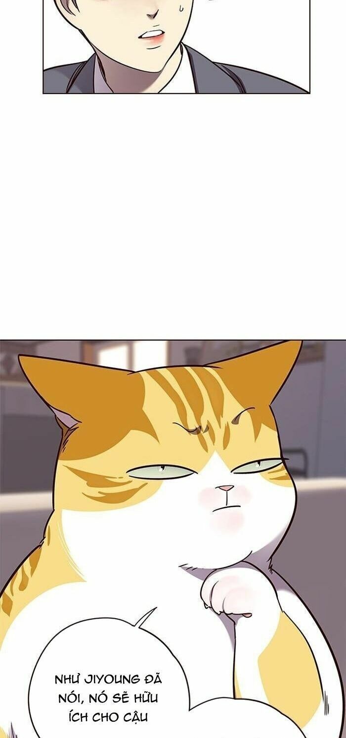 đọc truyện Hóa Thân Thành Mèo Chương 56 ảnh 52 tại Thiên Thai Truyện