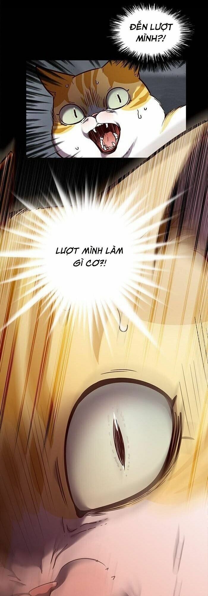 đọc truyện Hóa Thân Thành Mèo Chương 56 ảnh 11 tại Thiên Thai Truyện