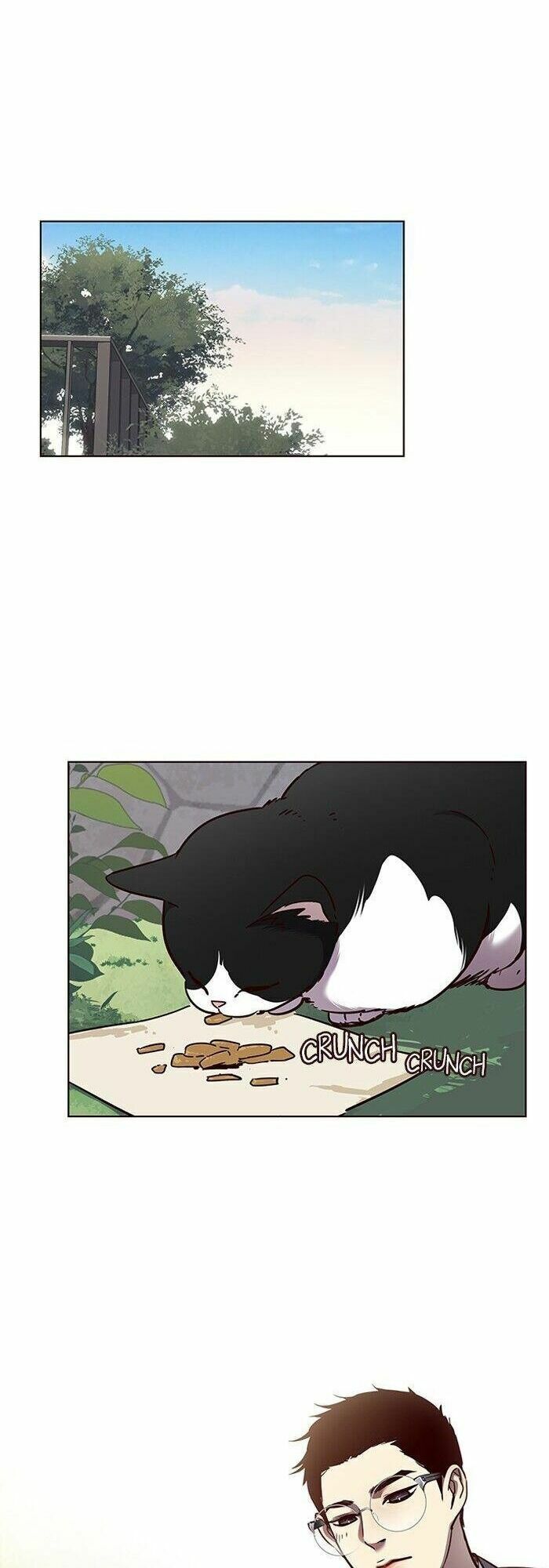 đọc truyện Hóa Thân Thành Mèo Chương 57 ảnh 14 tại Thiên Thai Truyện