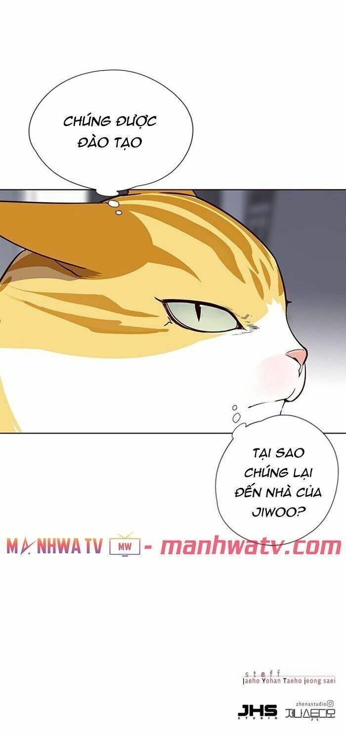 đọc truyện Hóa Thân Thành Mèo Chương 57 ảnh 56 tại Thiên Thai Truyện