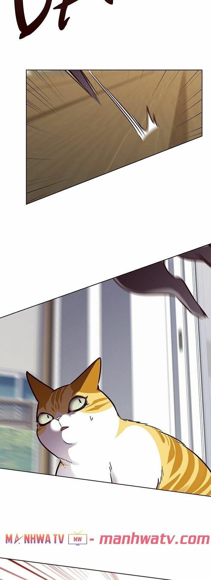 đọc truyện Hóa Thân Thành Mèo Chương 58 ảnh 12 tại Thiên Thai Truyện