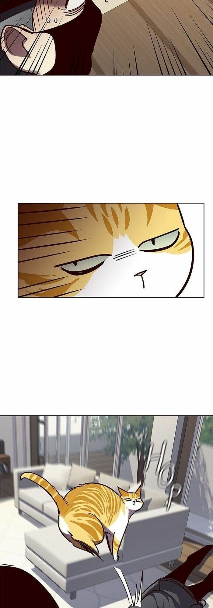 đọc truyện Hóa Thân Thành Mèo Chương 58 ảnh 23 tại Thiên Thai Truyện